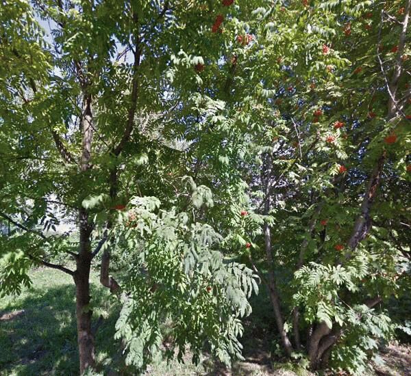 Отделение Почта Банка по адресу ул. Молодежная,  д. 96